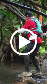 BIB:  <button type="button" onclick="openModal(27808997)" class="btn btn-primary btn-sm float-right" data-toggle="modal" data-target=".modal-high-quality">
                <i class="fa fa-download"></i> Download
                </button>